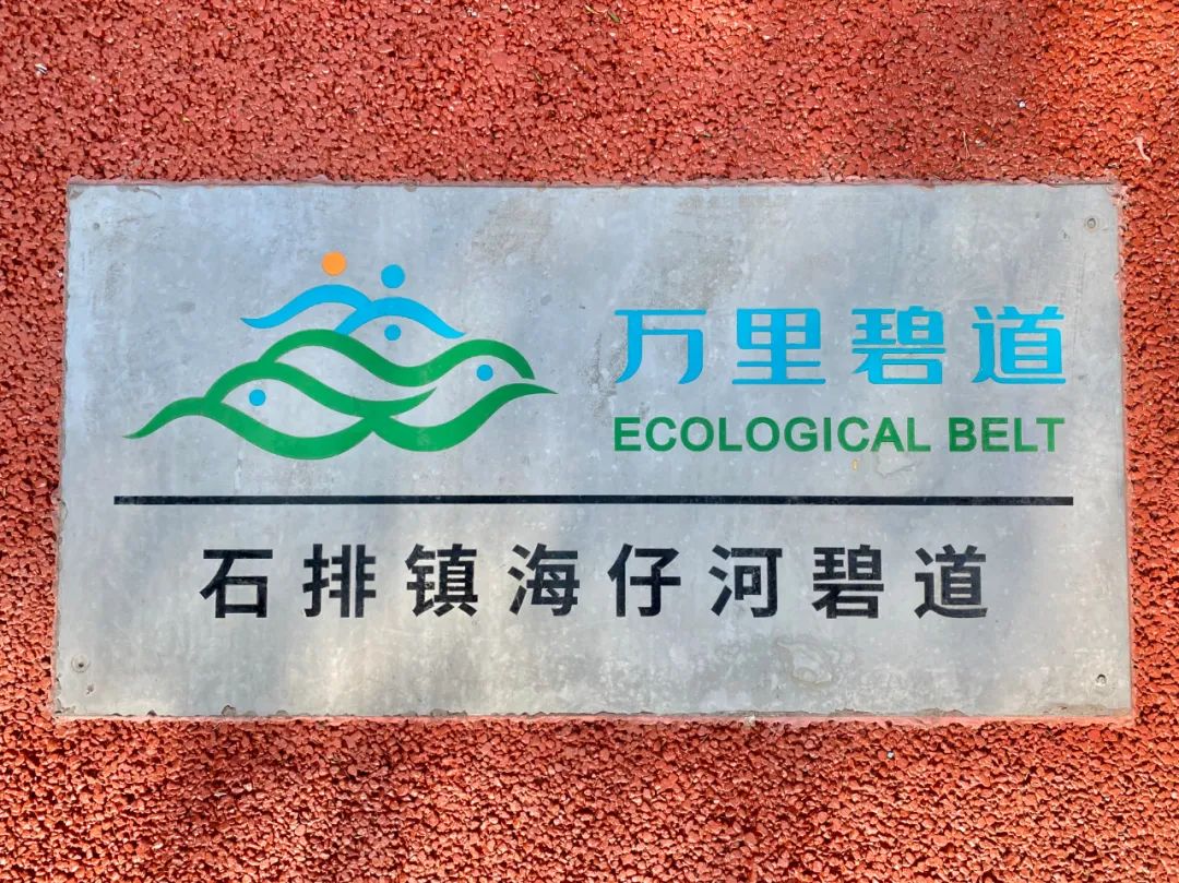 相约石排万里碧道感受运动之乐享受生态之美