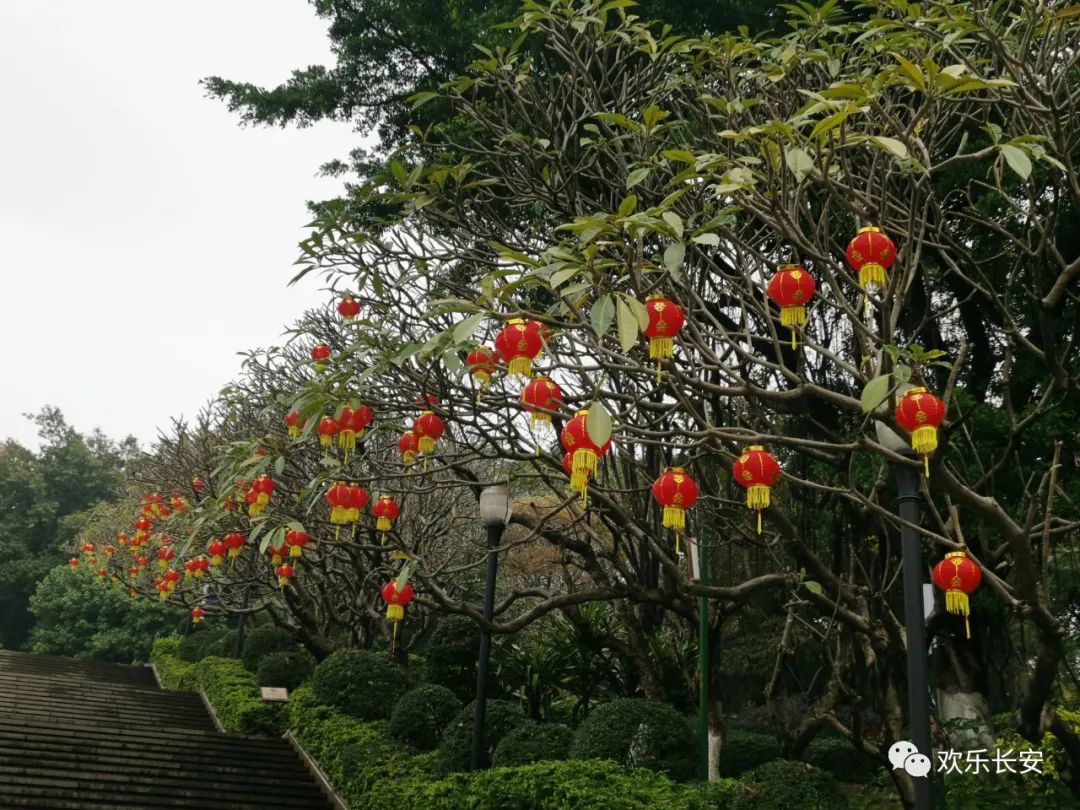 长安公园春节开放图片