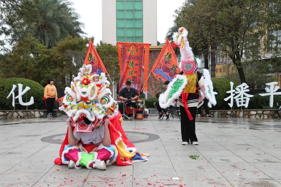 麒凤呈祥舞新春道滘举办传统麒麟引凤表演贺新春