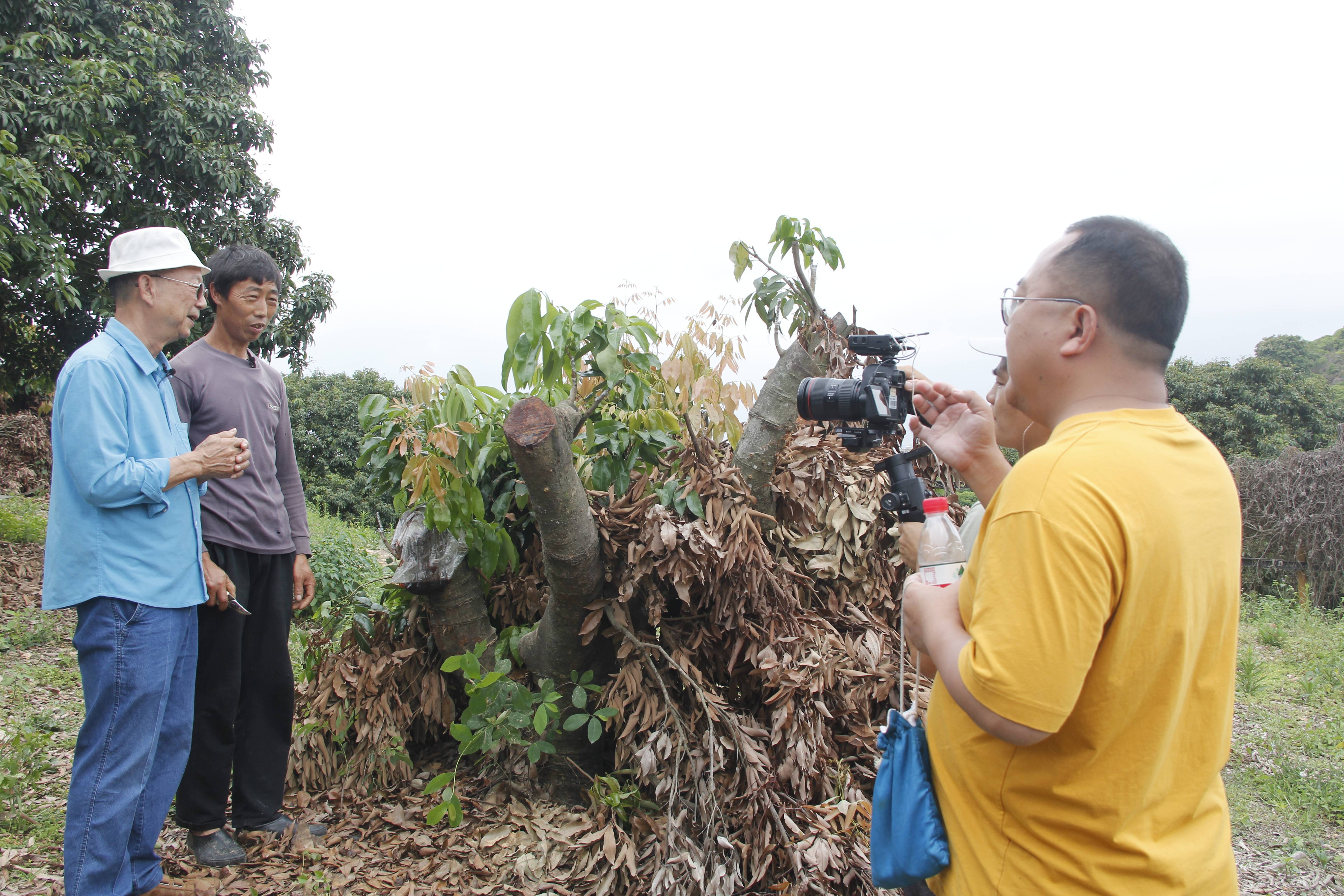 珠江频道摇钱树栏目组到清溪镇采访拍摄