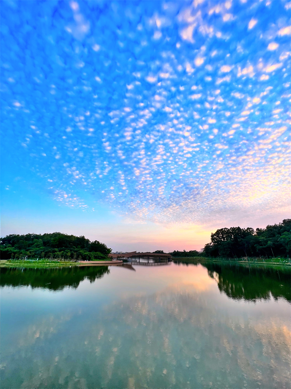 東清湖溼地公園迎來最美晚霞(攝影 黃志鴻).jpg