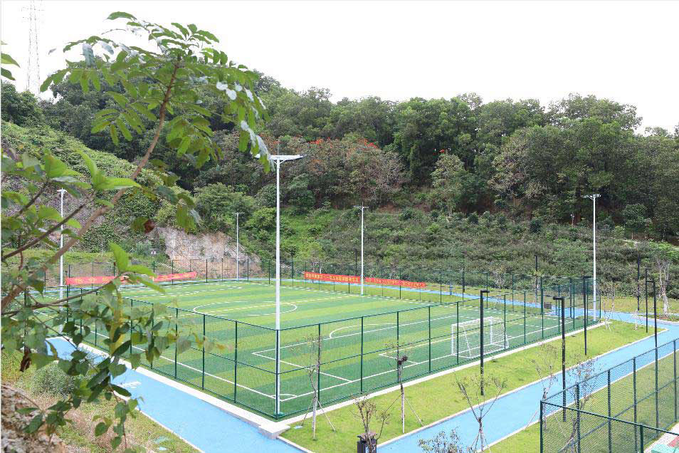 凤岗碧湖体育公园正式开放可免费预约订场