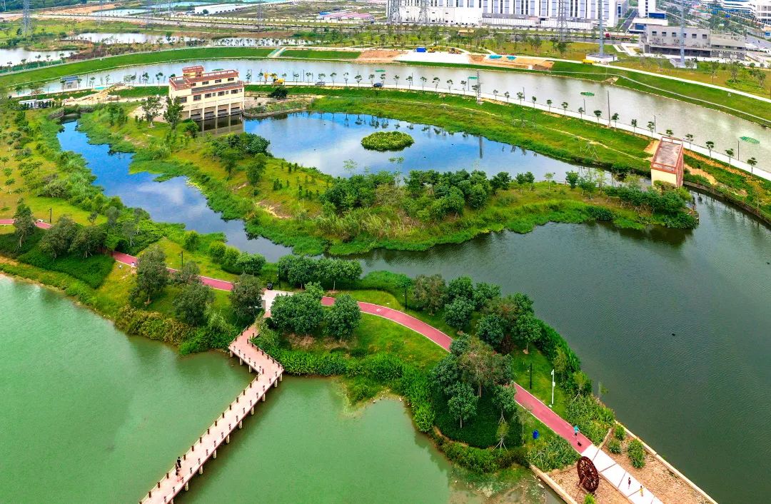 【非凡十年61山水谢岗】碧道篇:生态廊道穿城过 南山北水好风光