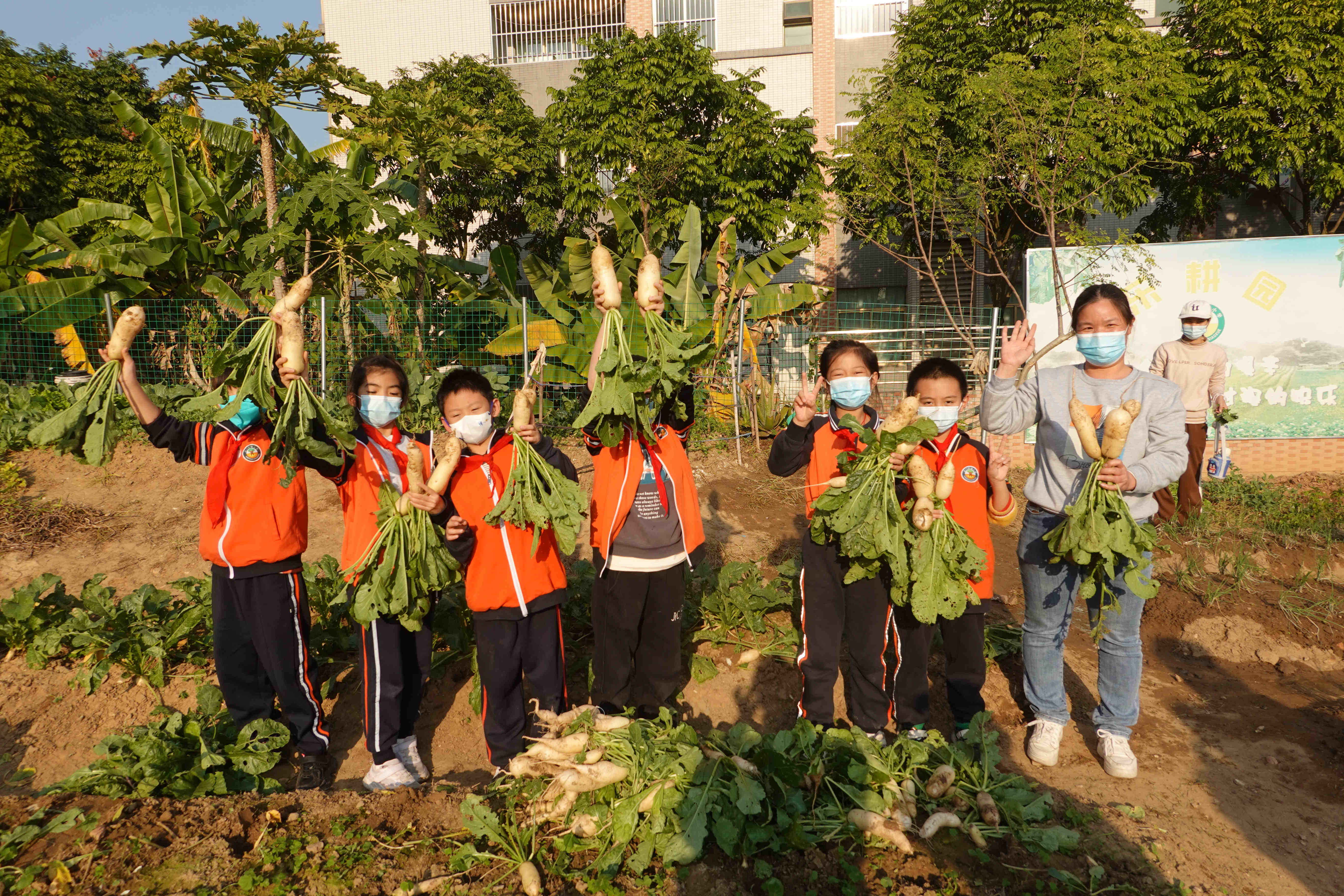 2022年,虎门镇怀德小学乐耕园获评第一批市中小学劳动教育实践基地