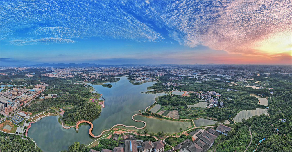 《东清湖湿地公园全景》黄志鸿.jpg