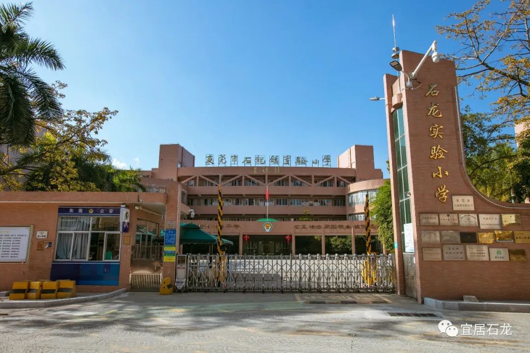 龙城开学季丨石龙镇实验小学:以特色品牌为抓手 激发学校新活力