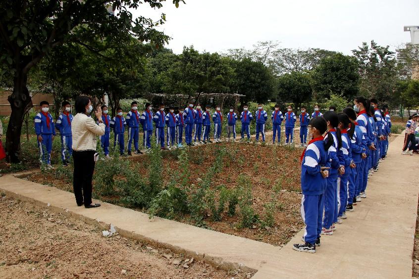 大朗镇新民小学中草药种进校园引领学生了解中医药文化
